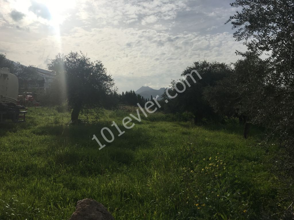 Residential Zoned Plot For Sale in Ozanköy, Kyrenia