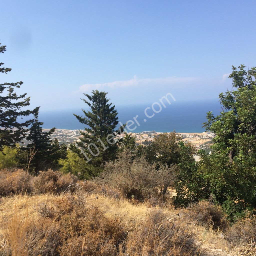 A PLOT WITH A MAGNIFICENT VIEW OF LAPTADA DEC ** 