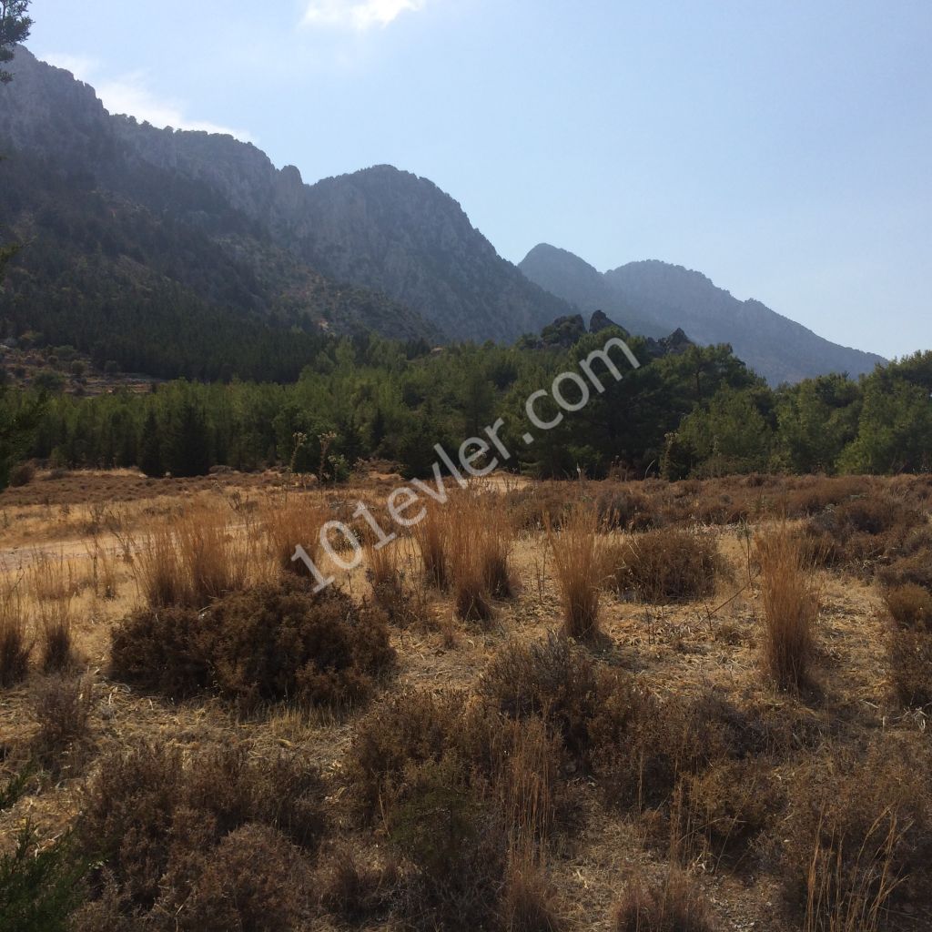 A PLOT WITH A MAGNIFICENT VIEW OF LAPTADA DEC ** 