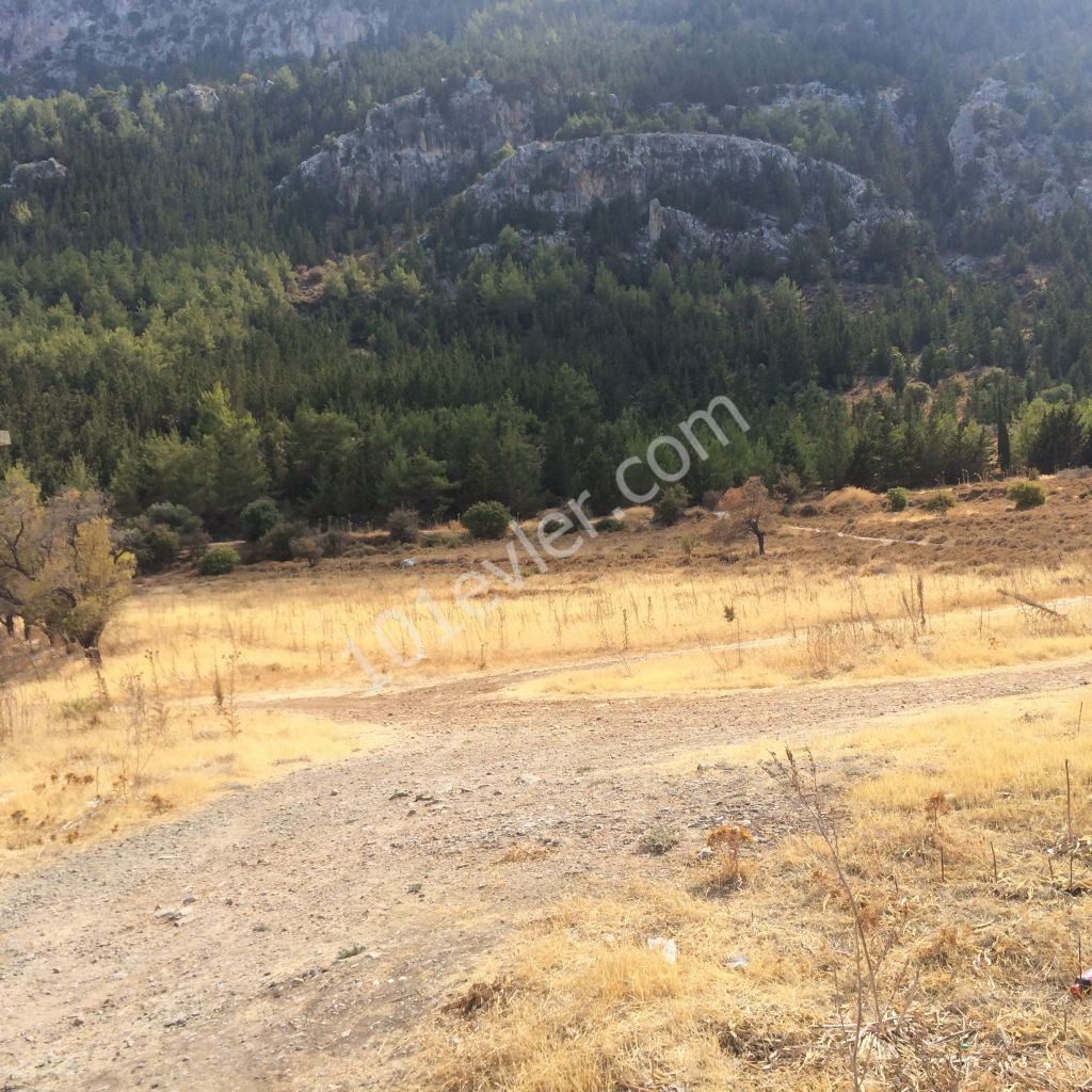 A PLOT WITH A MAGNIFICENT VIEW OF LAPTADA DEC ** 