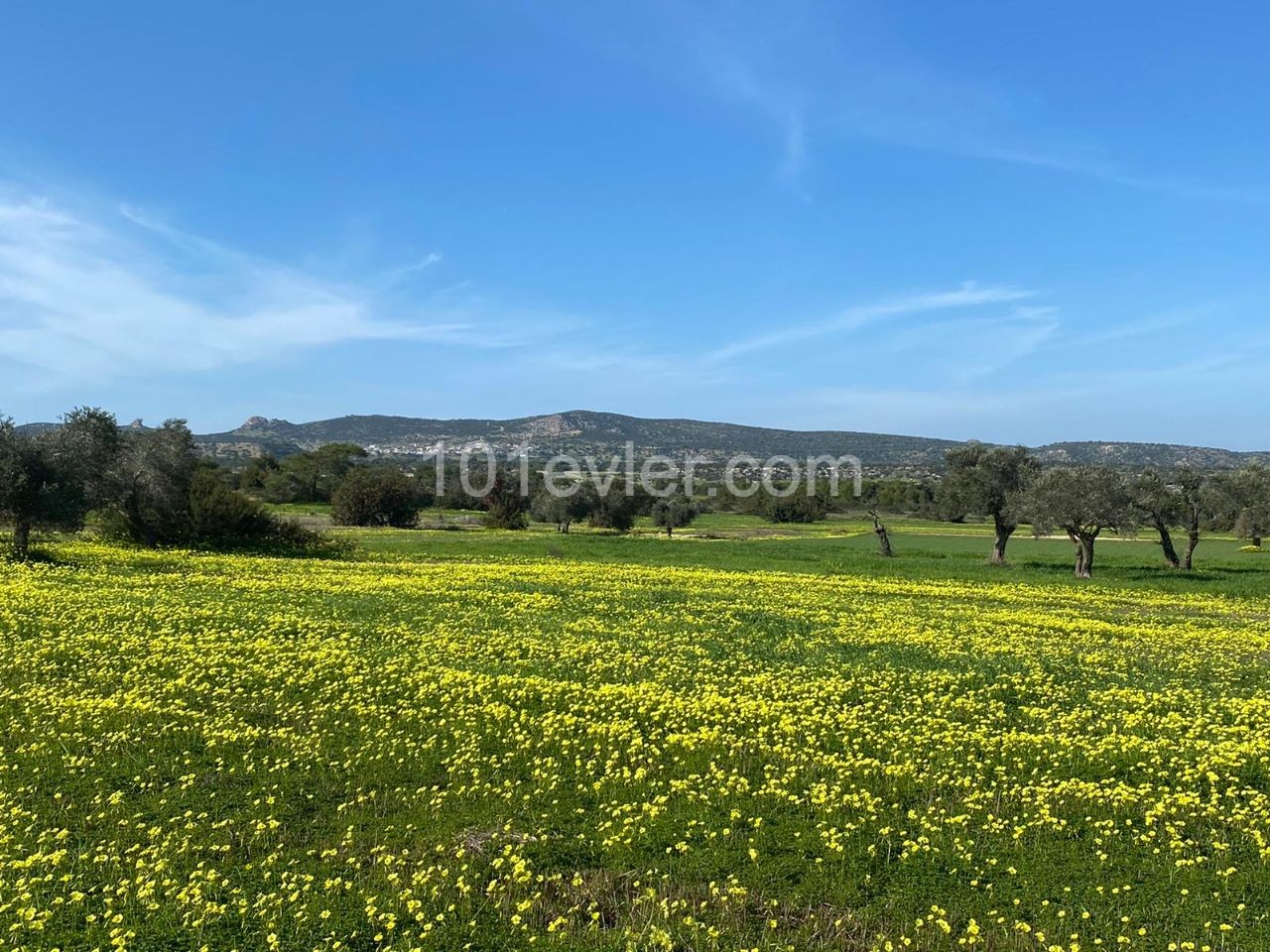 ساختمان ناتمام برای فروش in Mehmetçik, ایسکله