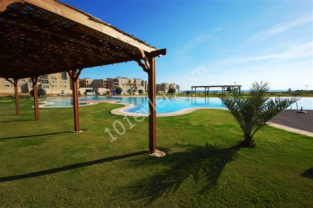 2 bedroom apartment  for rent at  Bafra