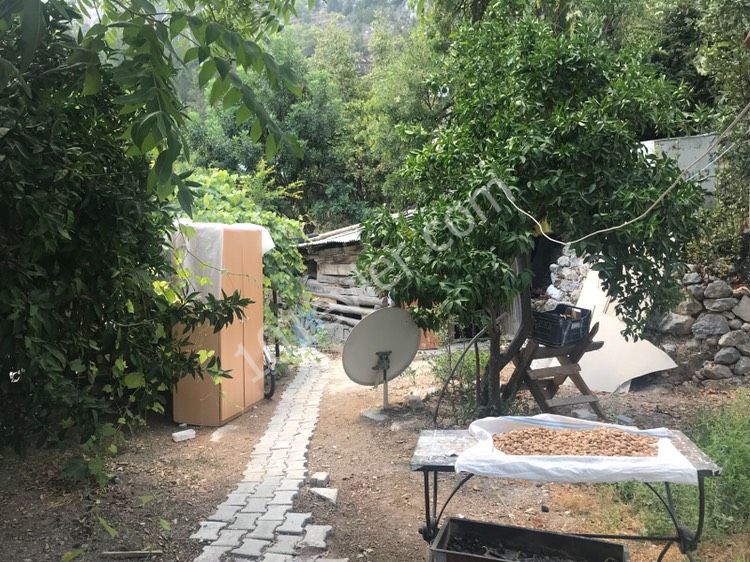 Einfamilienhaus Kaufen in Lapta, Kyrenia