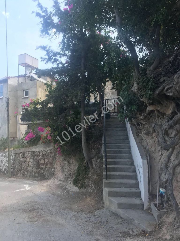 Einfamilienhaus Kaufen in Lapta, Kyrenia