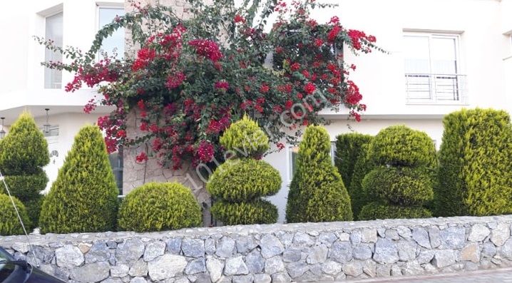 خانه مستقل برای فروش in Güzelyurt Merkez, گوزلیورت