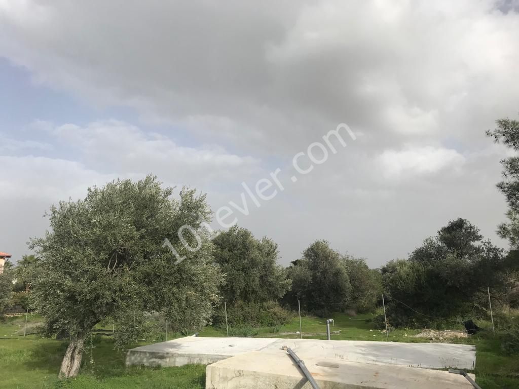 Girne Ozanköy Üst Yolu Üzerinde 1896 m2 Satılık Arazi 150000 STG