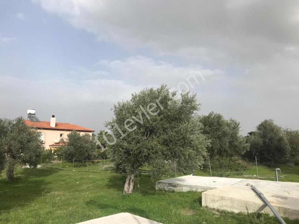 Girne Ozanköy Üst Yolu Üzerinde 1896 m2 Satılık Arazi 150000 STG