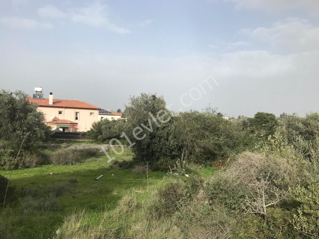 Girne Ozanköy Üst Yolu Üzerinde 1896 m2 Satılık Arazi 150000 STG