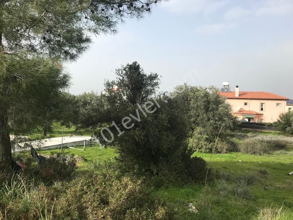 Girne Ozanköy Üst Yolu Üzerinde 1896 m2 Satılık Arazi 150000 STG