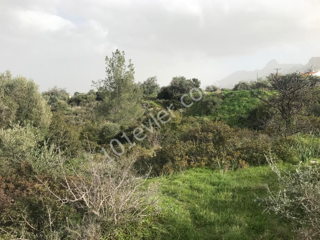 Girne Ozanköy Üst Yolu Üzerinde 1896 m2 Satılık Arazi 150000 STG