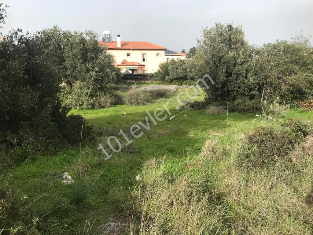 Girne Ozanköy Üst Yolu Üzerinde 1896 m2 Satılık Arazi 150000 STG