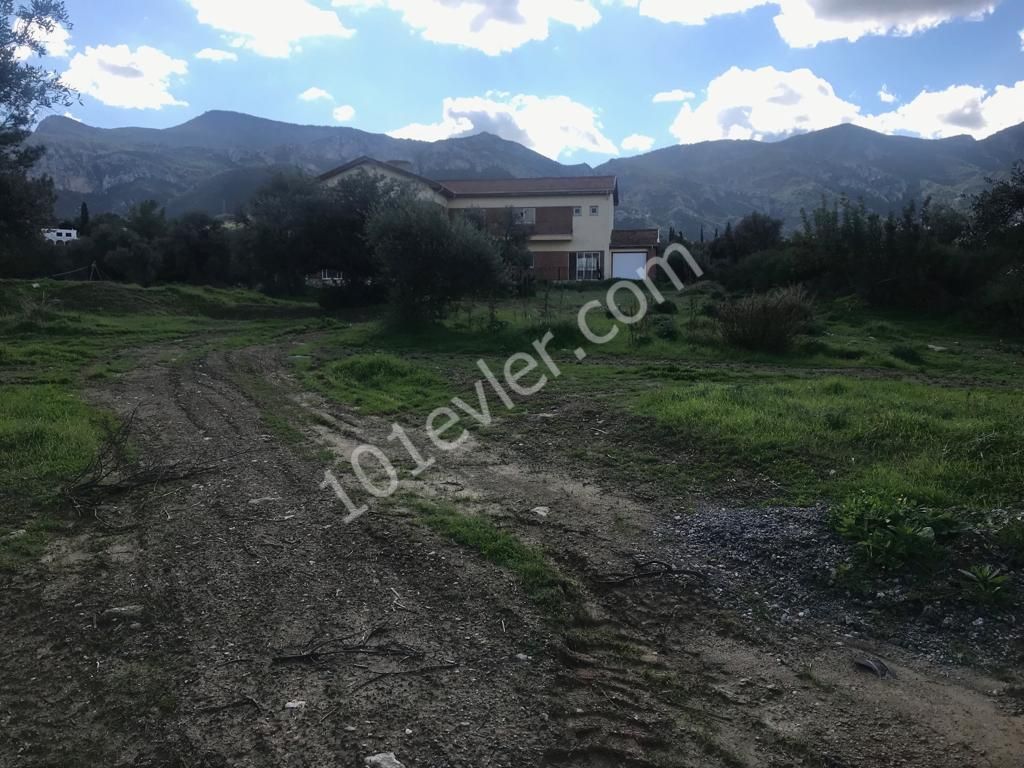 Girne Beylerbeyi 3 Dönüm 3 Evlek 1800 Ay2 Satılık Arazi 220000 STG