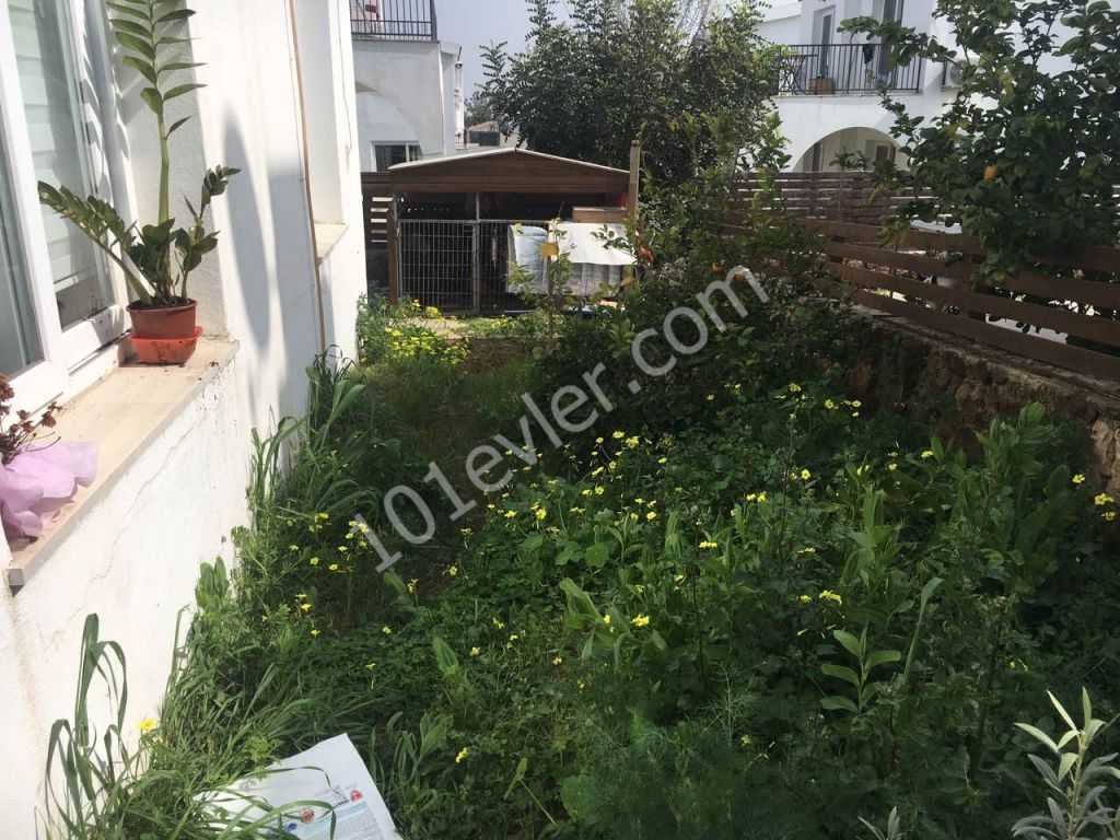 Einfamilienhaus Kaufen in Hamitköy, Nikosia