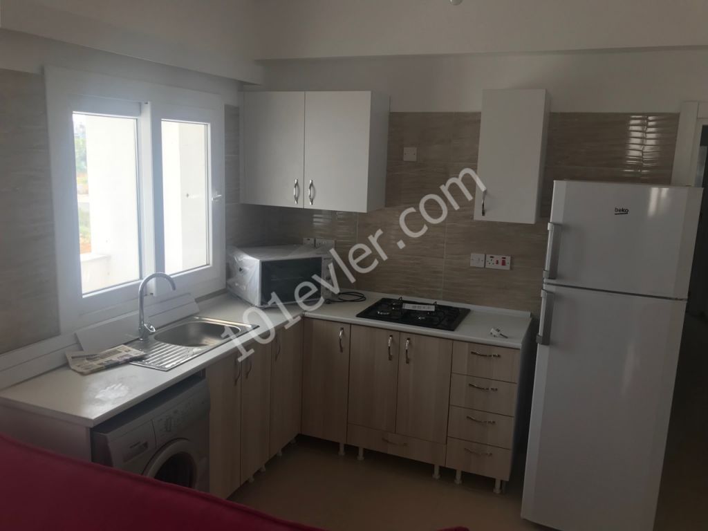 Lefkoşa Gönyeli'de 2+1 Eşyalı Yeni Kiralık 6+6 Ödemeli Daire 2,000 TL