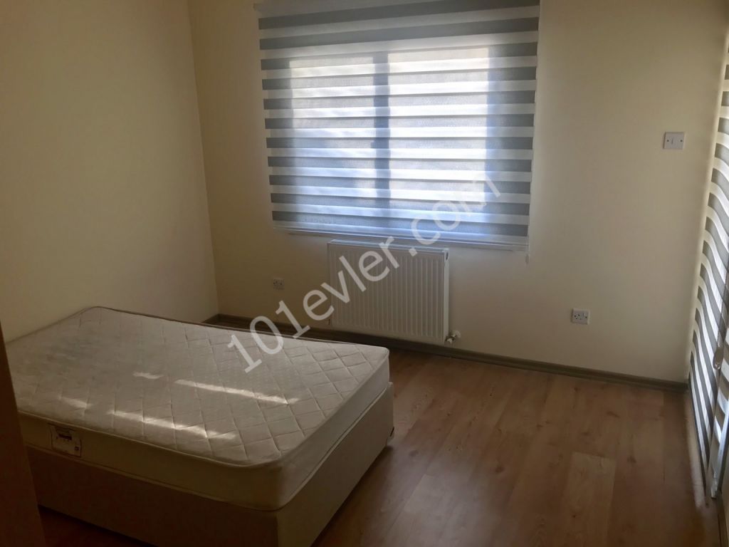 Kermiyada 3+1 180 m2 Eşyalı Ak Ödemeli Kiralık İkiz Müstakil Ev 500 STG