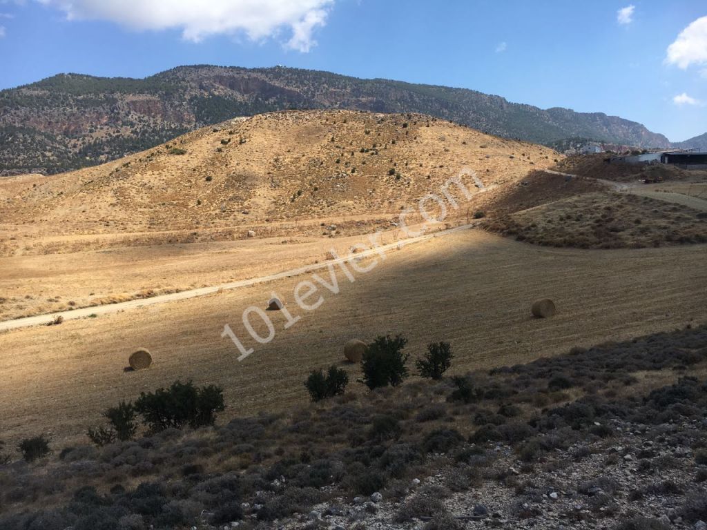 Girne Pınarbaşın'da 35 dönüm 2 Evlek Türk Malı Satılık Tarla Dönümü 6000 STG