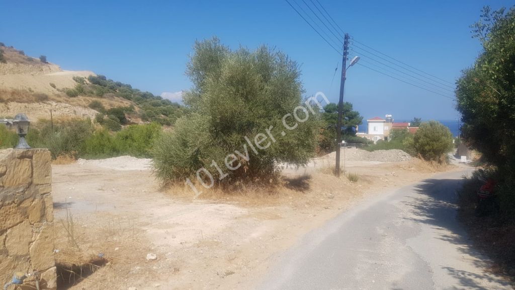 Girne Alsancak'da 3+1 Satılık Villa 220000 STG