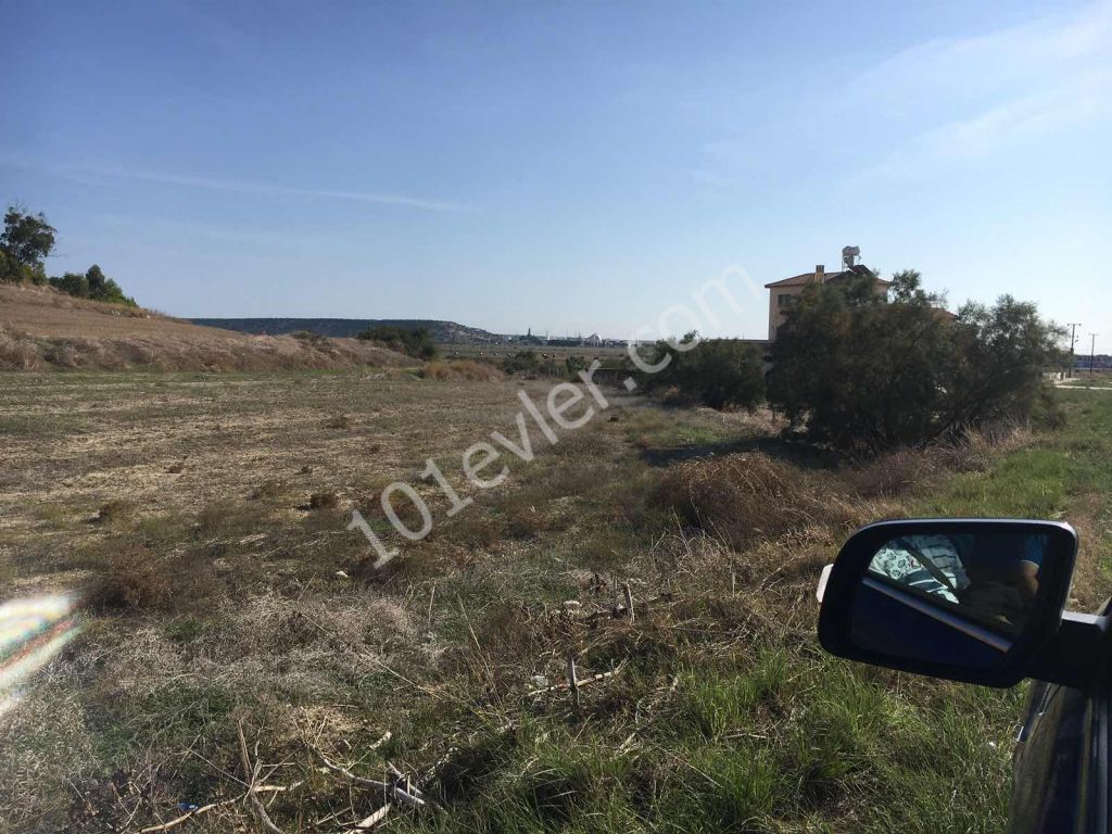 رشته برای فروش in Kalecik, ایسکله