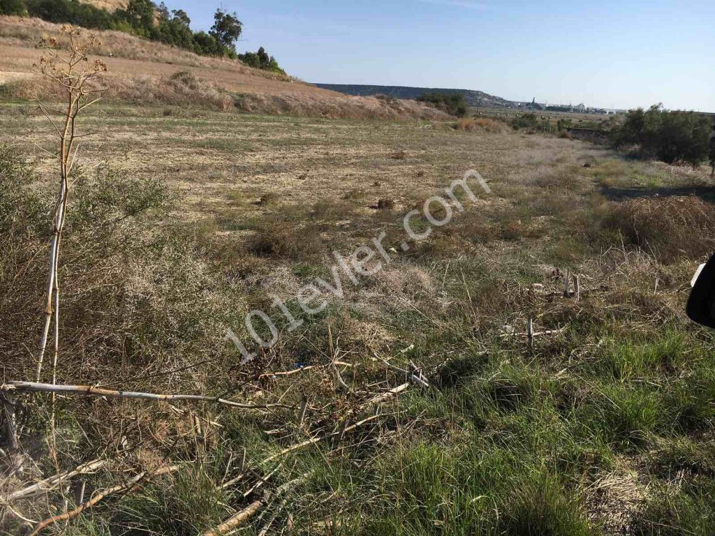 رشته برای فروش in Kalecik, ایسکله