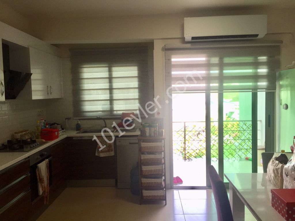 Flat To Rent in Hamitköy, Nicosia