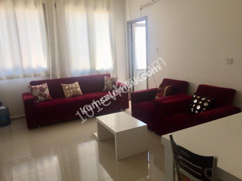 Flat To Rent in Ortaköy, Nicosia