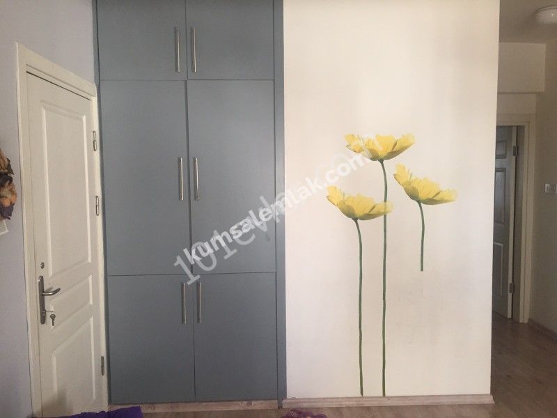 تخت برای فروش in Gönyeli, نیکوزیا