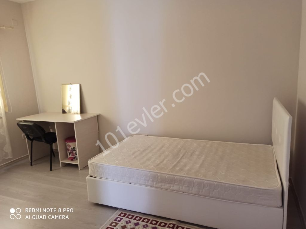 Flat To Rent in Hamitköy, Nicosia