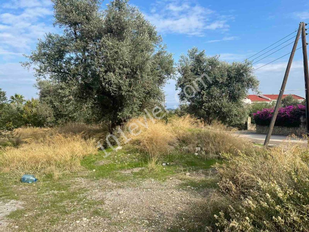 LAND FOR SALE IN KYRENIA BEYLERBEYI 135 dec000 STG ** 