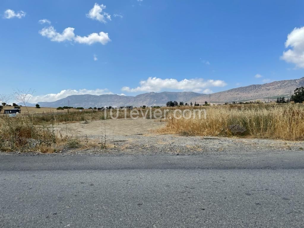 4.5 Acres of Land for Sale in Aşağı Dikmen 80,000 STG ** 