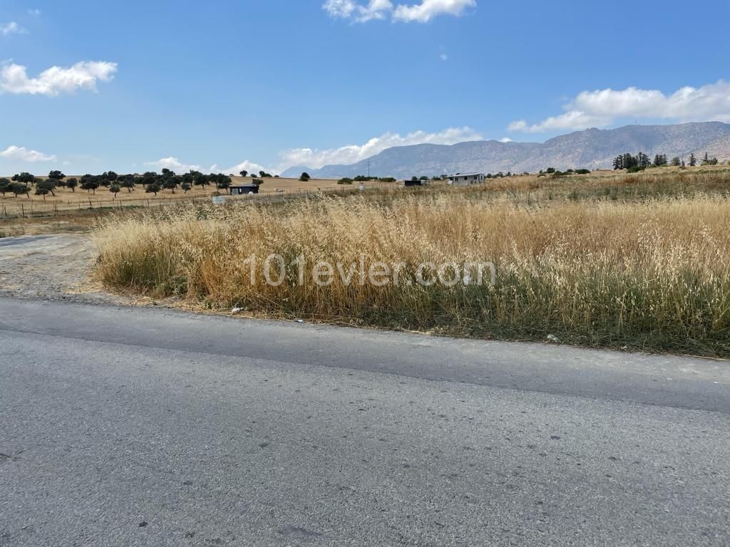 4.5 Acres of Land for Sale in Aşağı Dikmen 80,000 STG ** 