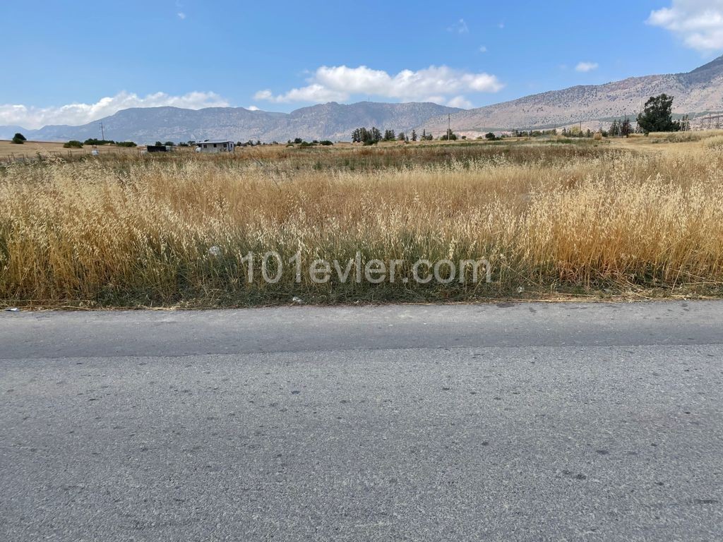 4.5 Acres of Land for Sale in Aşağı Dikmen 80,000 STG ** 