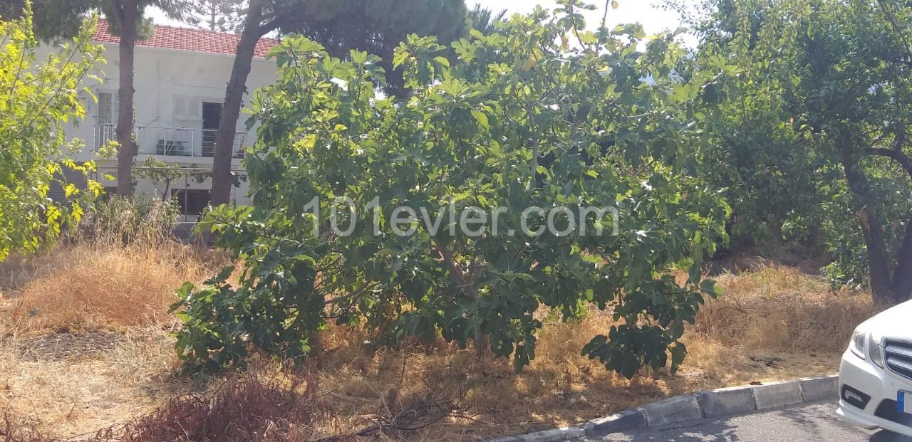 A Plot of Land for Sale in Kyrenia Alsancak Dec ** 