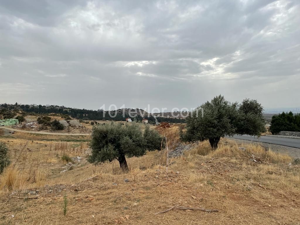 Field For Sale in Nicosia / Lower Tashkent ** 