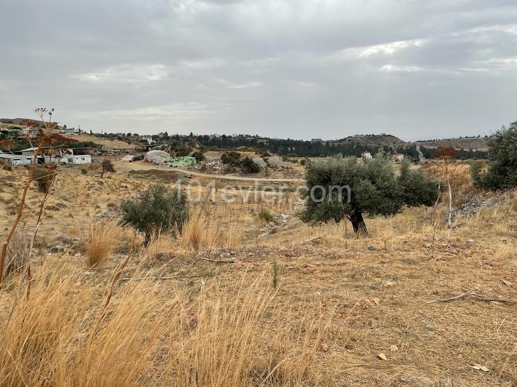 Field For Sale in Nicosia / Lower Tashkent ** 