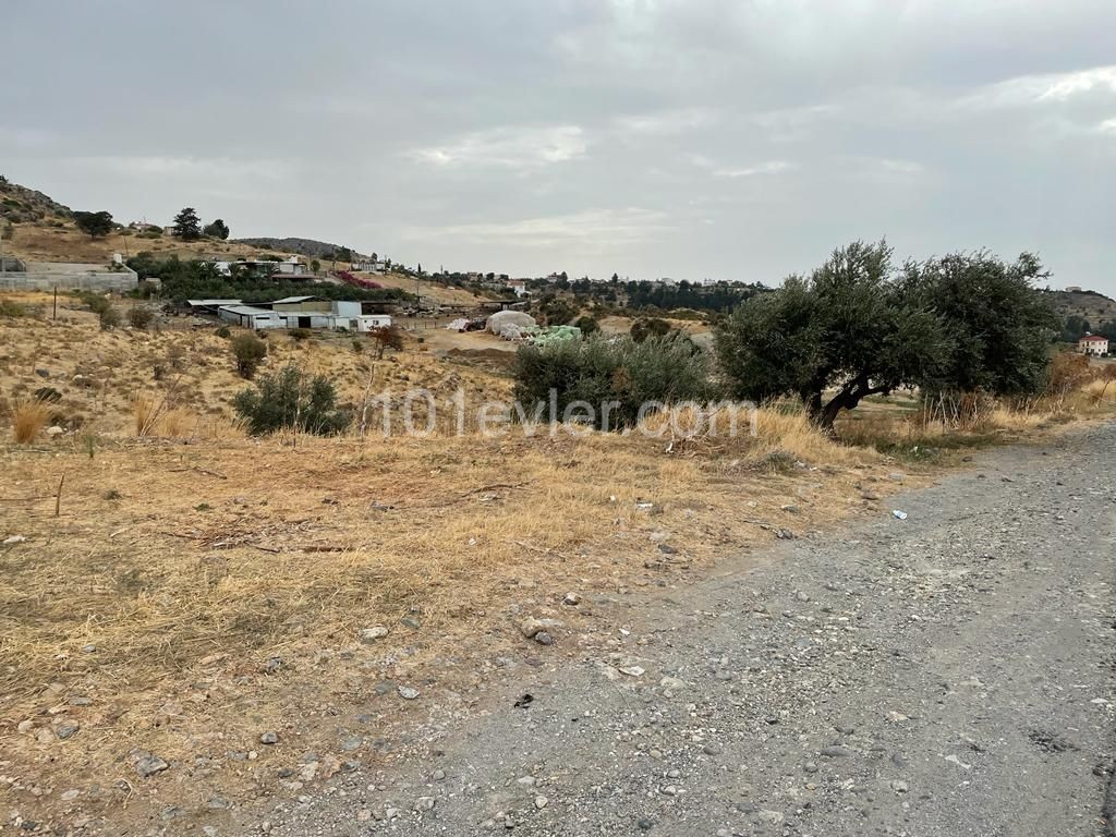 Field For Sale in Nicosia / Lower Tashkent ** 