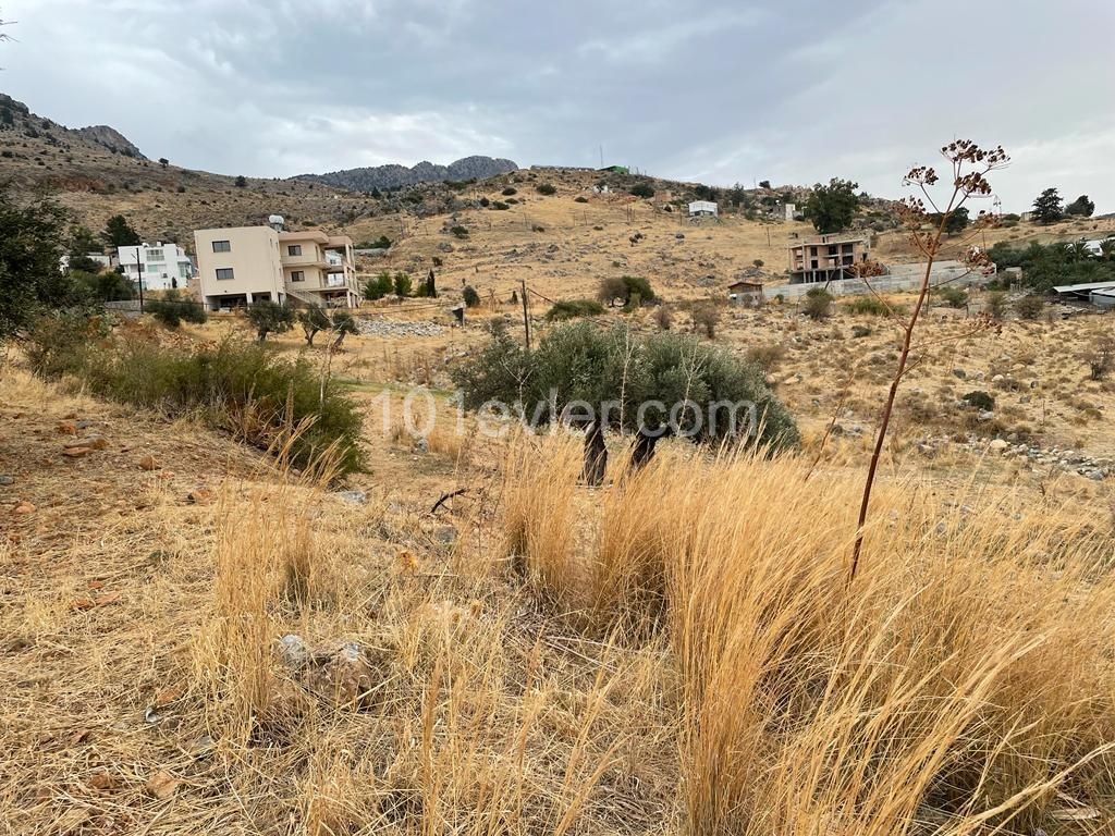 Field For Sale in Nicosia / Lower Tashkent ** 