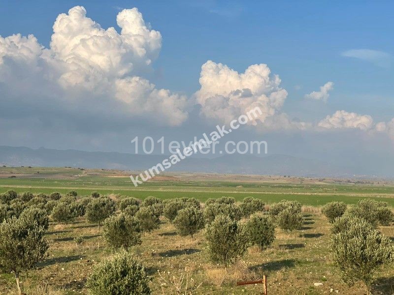 İskele Çevre Yol Üzerinde Satılık Arazi