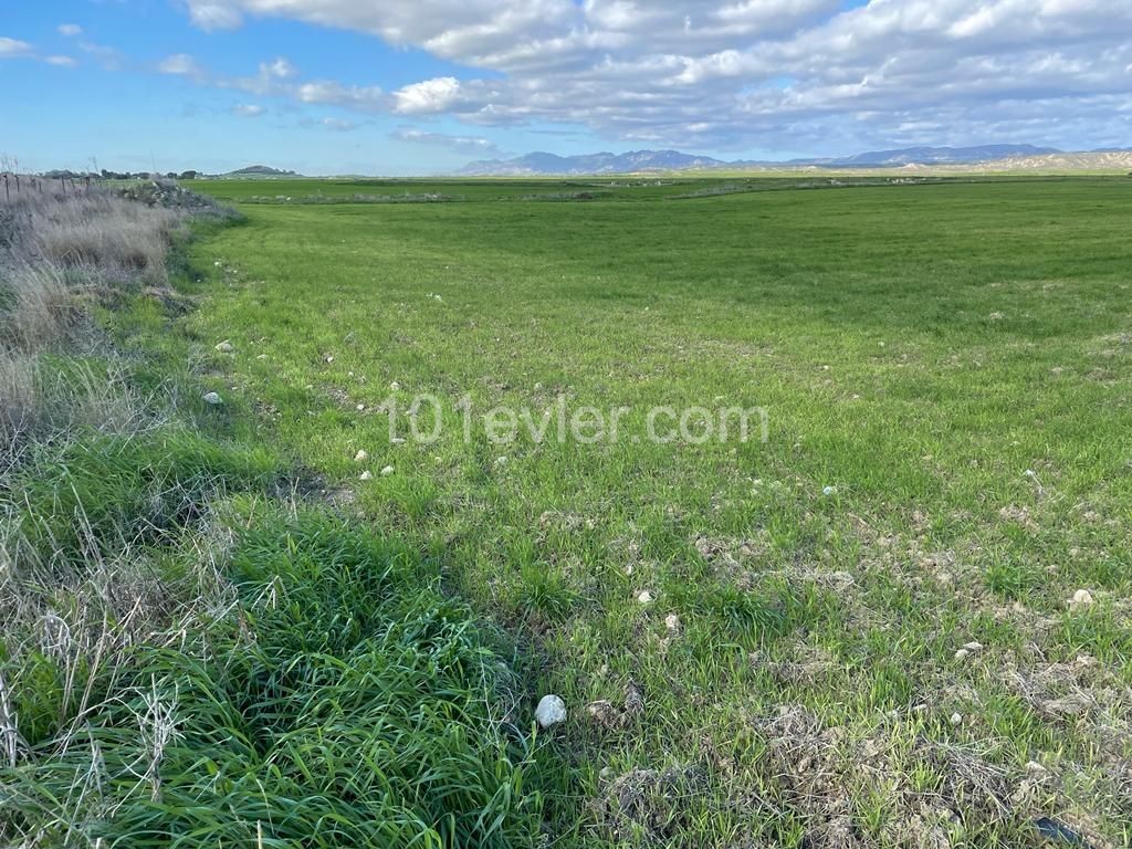 Land For Sale On Iskele Ring Road ** 