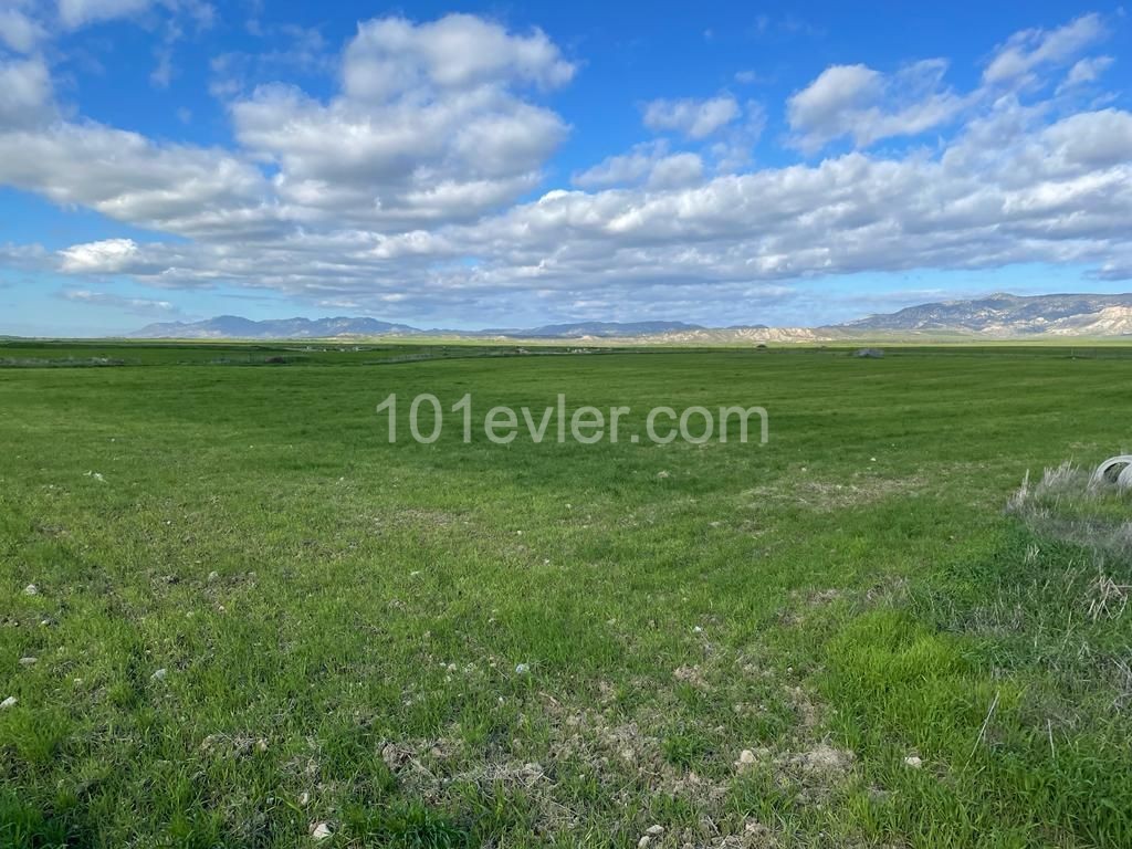 Land For Sale On Iskele Ring Road ** 