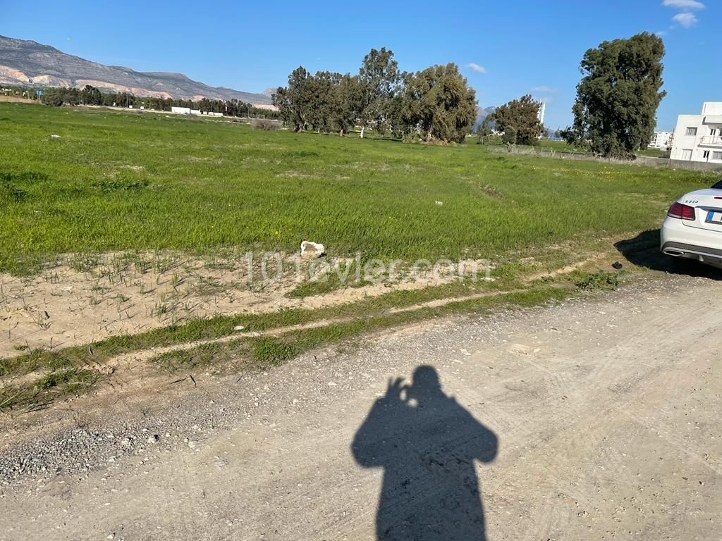 LAND FOR SALE IN HASPOLAT REGION 3 EVLEKS 1,300 SQUARE ** 