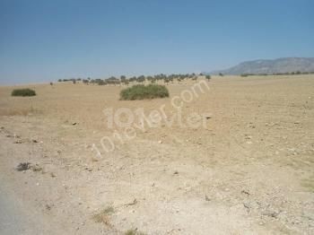 10 ACRES OF LAND FOR SALE IN DIKMEND ** 