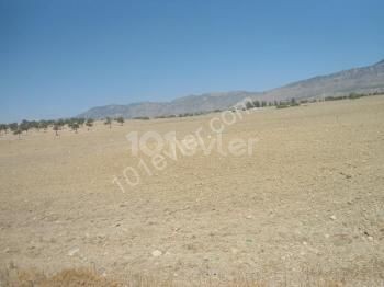 10 ACRES OF LAND FOR SALE IN DIKMEND ** 