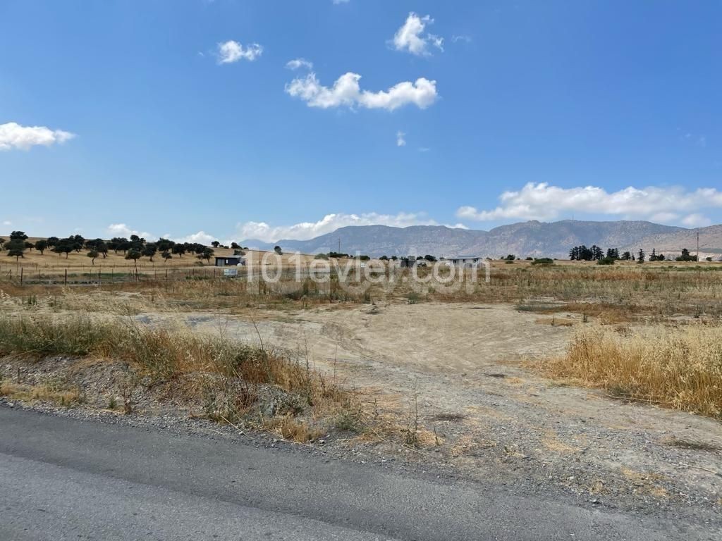 10 ACRES OF LAND FOR SALE IN DIKMEND ** 