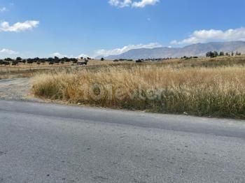 10 ACRES OF LAND FOR SALE IN DIKMEND ** 