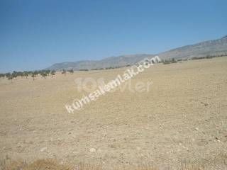 10 ACRES OF LAND FOR SALE IN DIKMEND ** 