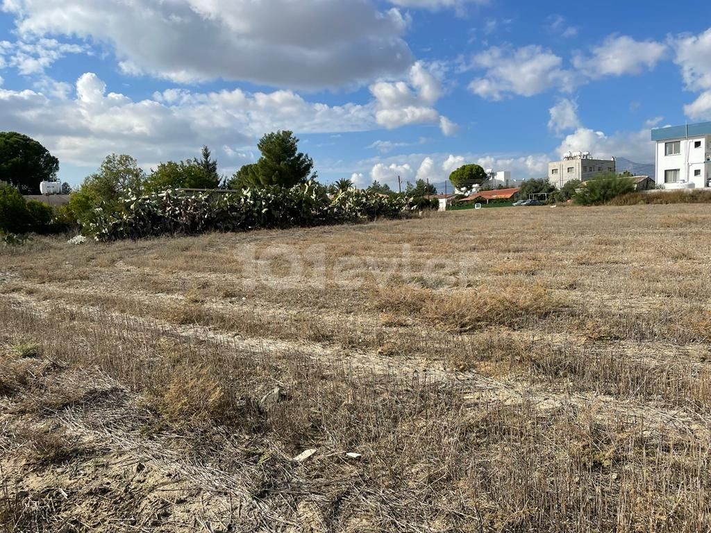 LAND FOR SALE IN HASPOLAT.