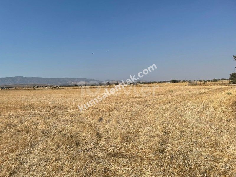 Land of 26255.75 m2 for sale in Famagusta Geçitkale