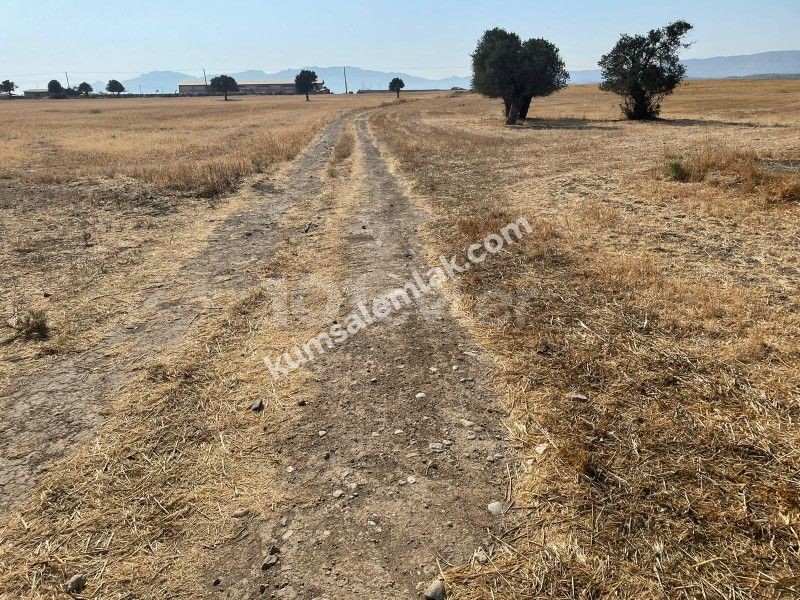 منطقه مسکونی برای فروش in Geçitkale, فاماگوستا