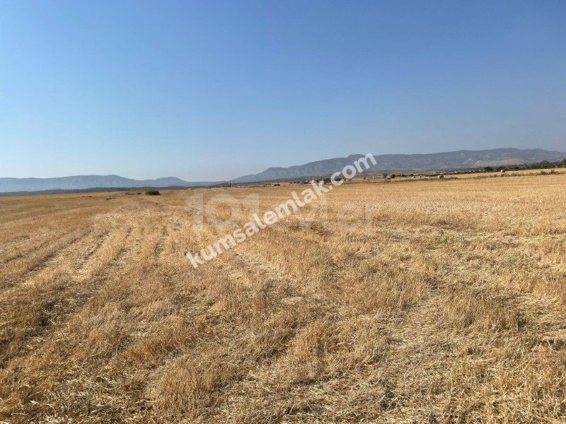 Land of 26255.75 m2 for sale in Famagusta Geçitkale