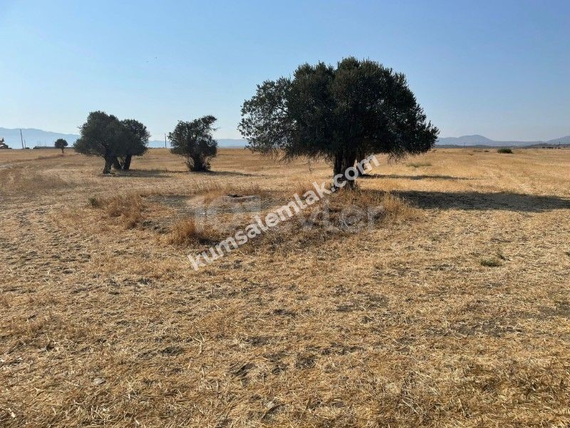 Land of 26255.75 m2 for sale in Famagusta Geçitkale